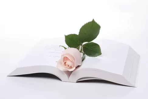 عکس استوک باکیفیت گل و کتاب عکس استوک باکیفیت گل و کتاب