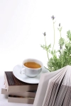تصویر باکیفیت فنجان و کتاب
