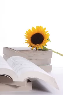 عکس کیفیت بالای کتاب و گل عکس کیفیت بالای کتاب و گل