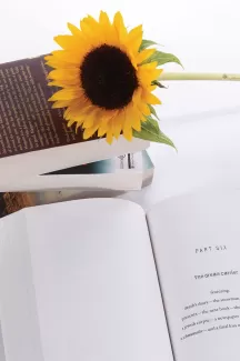 دانلود عکس کیفیت بالای گل و کتاب دانلود عکس کیفیت بالای گل و کتاب