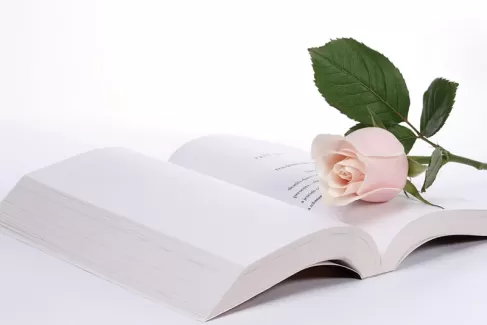 بک گراند کیفیت بالای کتاب و گل بک گراند کیفیت بالای کتاب و گل