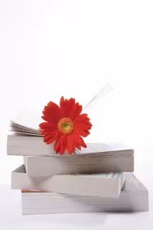 دانلود عکس کیفیت بالای کتاب و گل دانلود عکس کیفیت بالای کتاب و گل