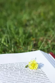 تصویر باکیفیت کتاب روی چمن تصویر باکیفیت کتاب روی چمن