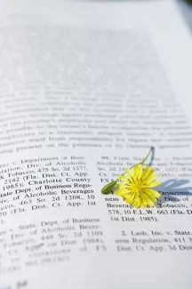 عکس استوک باکیفیت کتاب و گل