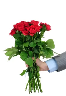 عکس باکیفیت دسته گل رز قرمز عکس باکیفیت دسته گل رز قرمز