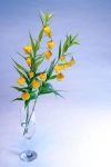 بک گراند کیفیت بالای گلدان گل فانوسی