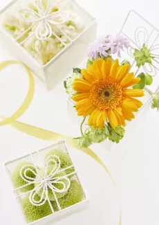 عکس باکیفیت جعبه و گل