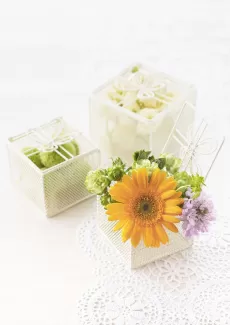 دانلود عکس باکیفیت جعبه گل