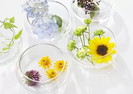 دانلود تصویر باکیفیت گل ها در تنگ