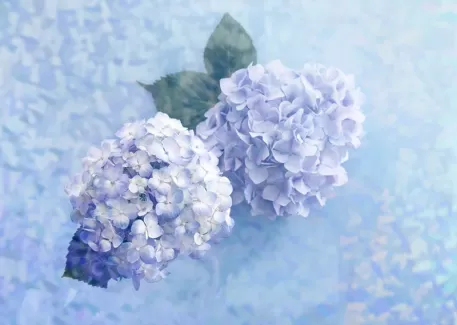 بک گراند کیفیت بالای گل های آبی