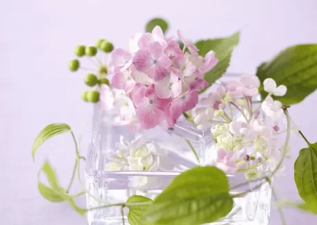 تصویر باکیفیت گل در ظرف شیشه ای