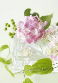 عکس باکیفیت گل در ظرف شیشه ای