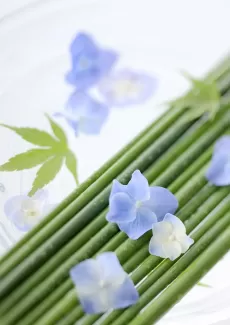 پس زمینه کیفیت بالای گل های آبی