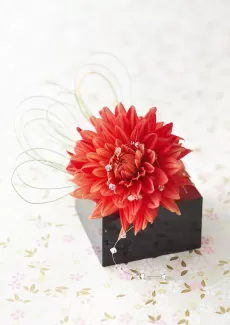 تصویر باکیفیت جعبه و گل