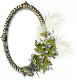 تصویر باکیفیت قاب عکس چوبی و گل