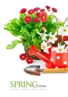 عکس باکیفیت گل های بهاری و آب پاش