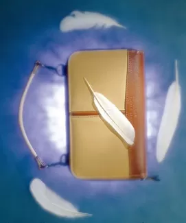 تصویر باکیفیت کیف دستی