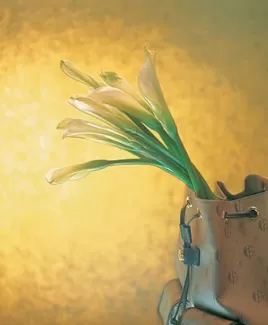 دانلود عکس باکیفیت گل در کیف زنانه