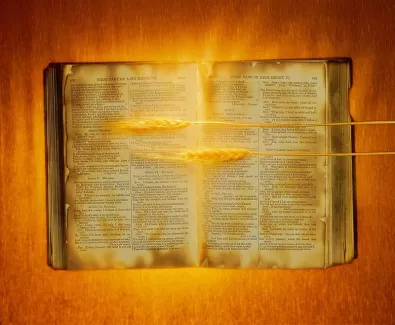 عکس باکیفیت کتاب قدیمی