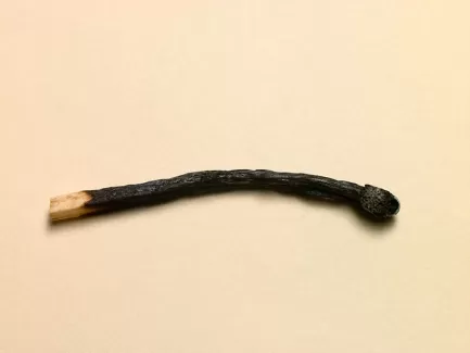 تصویر باکیفیت کبریت سوخته