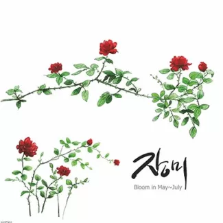 تصویر استوک کیفیت بالای نقاشی گل تصویر استوک کیفیت بالای نقاشی گل