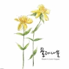 تصویر استوک کیفیت بالای نقاشی آبرنگی گل های زرد