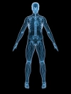 عکس باکیفیت آناتومی سه بعدی بدن انسان
