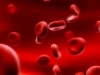 تصویر استوک باکیفیت گلبول های قرمز خون