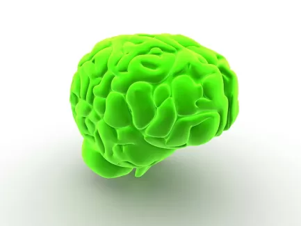تصویر باکیفیت سه بعدی مغز