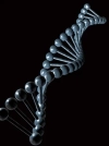 تصویر سه بعدی باکیفیت DNA