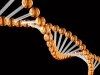 عکس سه بعدی باکیفیت مولکول DNA