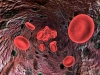 دانلود عکس باکیفیت گلبول های قرمز خون