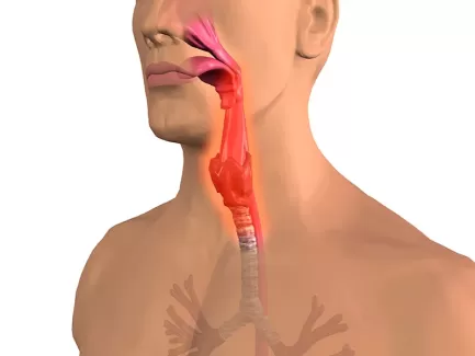 تصویر استوک سه بعدی باکیفیت مجرای تنفسی