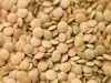 عکس  باکیفیت عدس