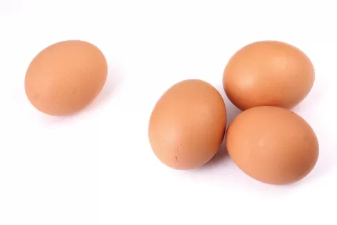 تصویر باکیفیت تخم مرغ محلی
