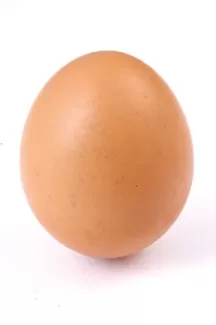 عکس باکیفیت تخم مرغ محلی