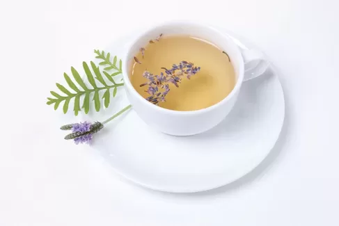 عکس استوک باکیفیت چای و گل
