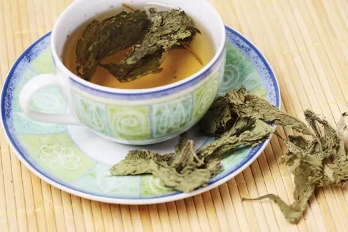 دانلود تصویر استوک کیفیت بالای چای گیاهی