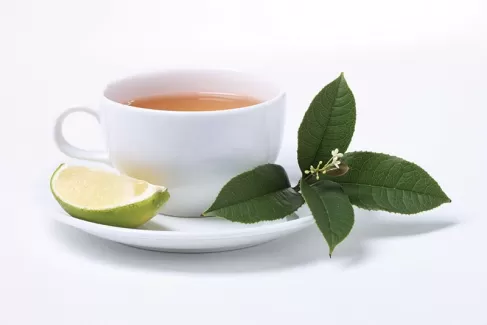 دانلود عکس استوک باکیفیت چای لیمو
