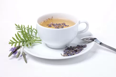 تصویر استوک باکیفیت چای گیاهی برای طراحی و چاپ
