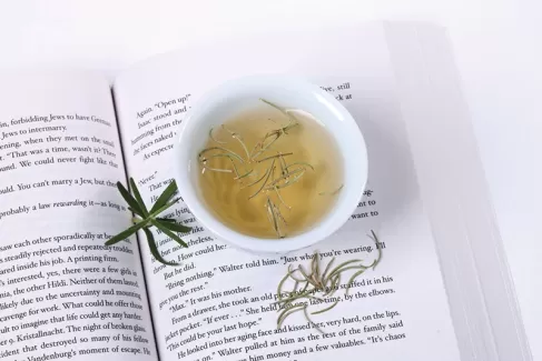 عکس کیفیت بالای چای گیاهی برای طراحی و چاپ