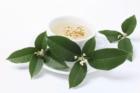 دانلود تصویر کیفیت بالای چای گیاهی برای طراحی و چاپ