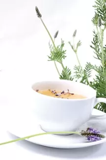 عکس استوک کیفیت بالای چای گیاهی برای طراحی و چاپ