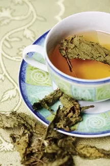 عکس باکیفیت چای گیاهی