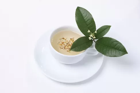 دانلود عکس باکیفیت چای گیاهی