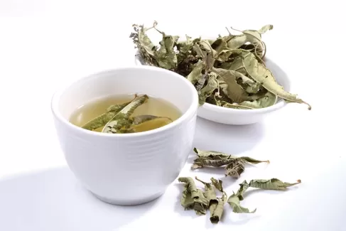 عکس استوک باکیفیت چای گیاهی