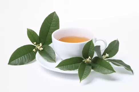 دانلود تصویر استوک باکیفیت چای گیاهی
