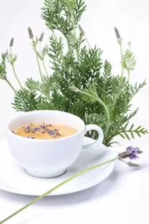 دانلود عکس استوک کیفیت بالای چای گیاهی