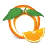 تصویر باکیفیت پرتقال پوست شده
