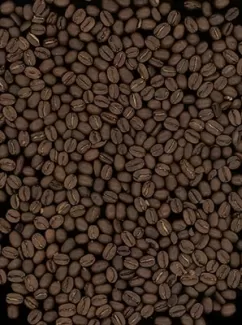 عکس با کیفیت دانه های قهوه